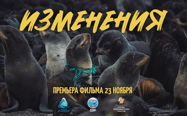 Освободившие тюленей от смертельных ловушек волонтёры стали героями фильма "Изменения"