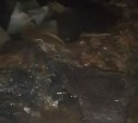 "В подвал зайти страшно": сахалинка показала на видео, как фекалии топят многоэтажку