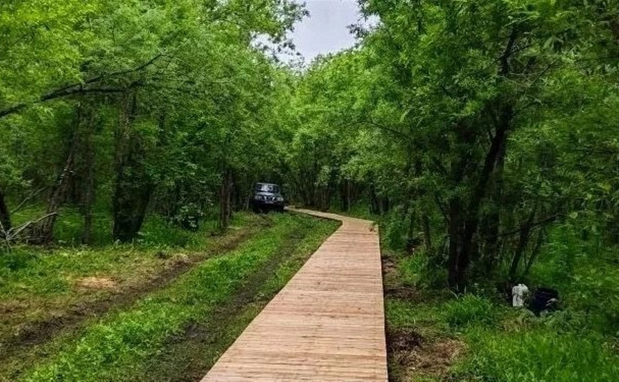 Двухкилометровую экотропу начали возводить в Поронайском районе