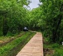 Двухкилометровую экотропу начали возводить в Поронайском районе