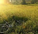 Пьяный воришка в Южно-Сахалинске украл велосипед и потерял его