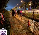 Полиция просит отозваться мужчину с ребёнком, ставших свидетелями смертельного ДТП в Южно-Сахалинске