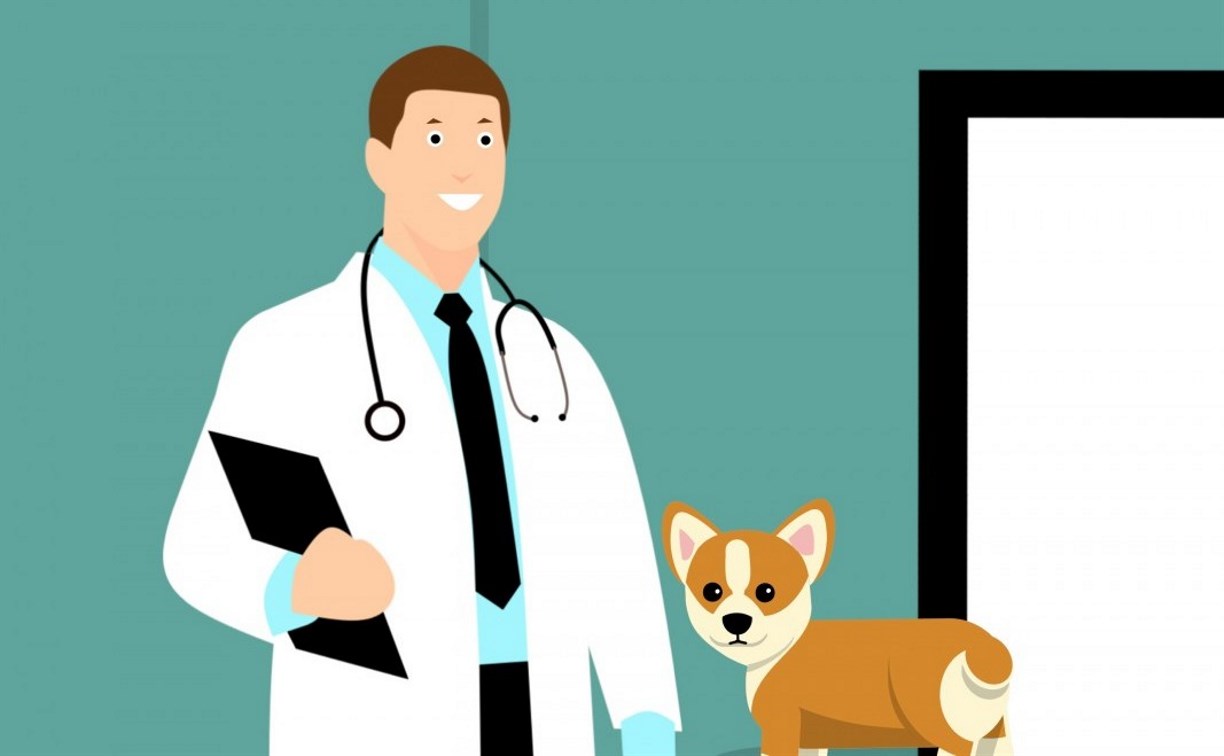 В России предлагают лечить животных лекарствами для людей