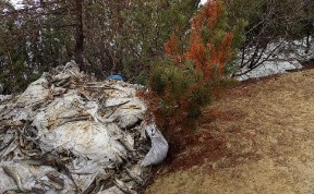 Происшествия
