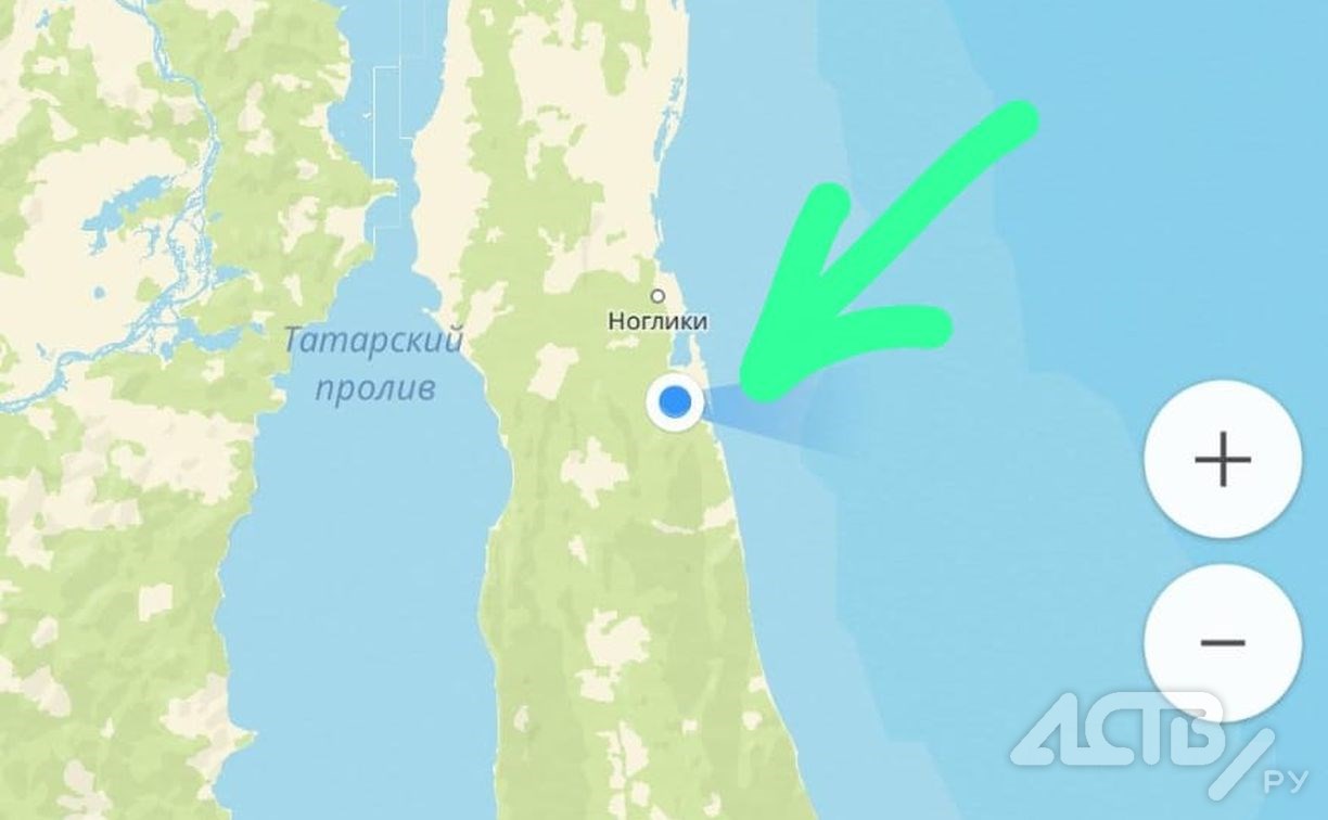 Очевидец: медведь вышел к рабочему вахтовому городку на Сахалине