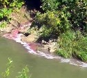 "В реку сливают красную жижу": жители Южно-Сахалинска заметили странное на улице Ленина