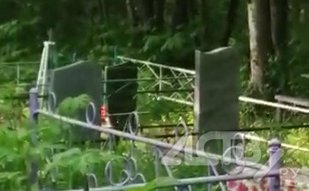 Крупный медведь напугал сахалинца на кладбище
