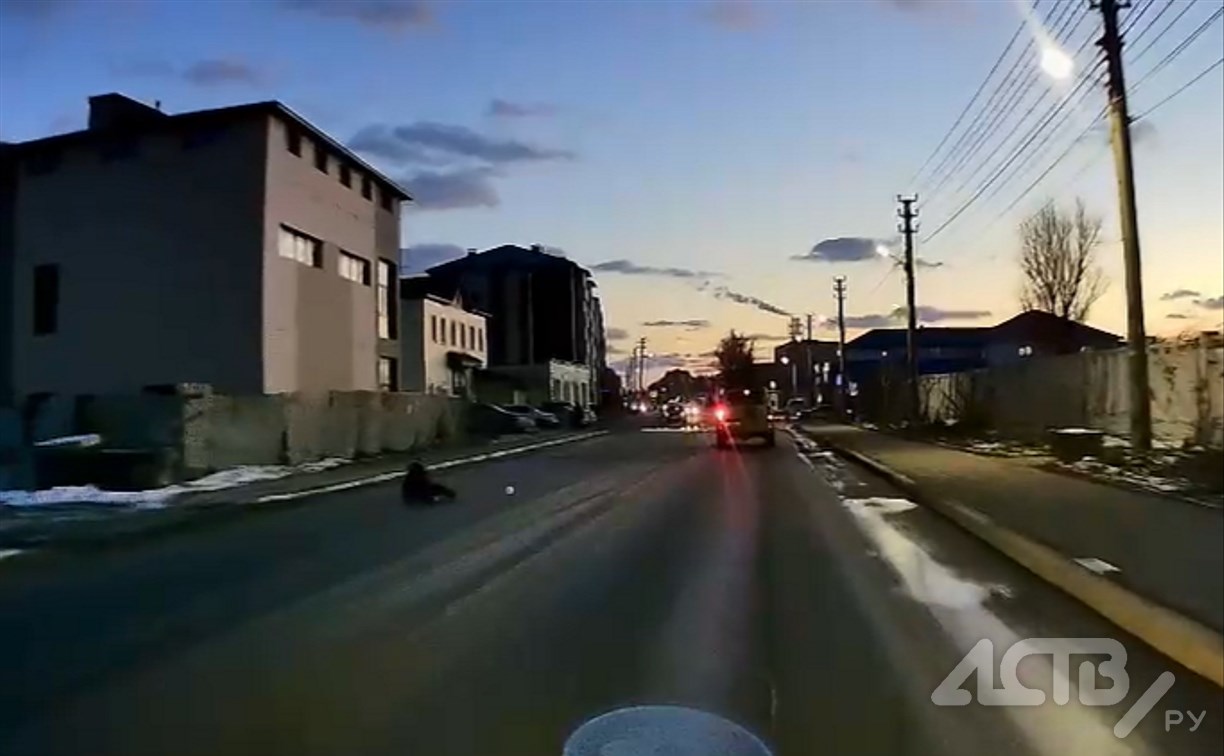 Ребенок в Невельске выбежал на дорогу перед машиной и упал