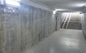Общество