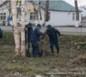 Сахалинские сотрудники МЧС приняли участие в акции «Посади дерево»