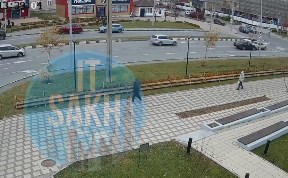 Общество