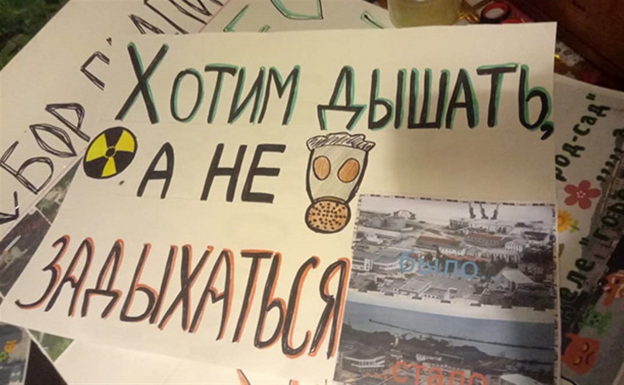 «Сивучи могут больше не приплыть»: в Невельске собрали подписи под обращением к мэру