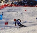 Сахалинцы прошли в топ-10 Кубка страны по горным лыжам