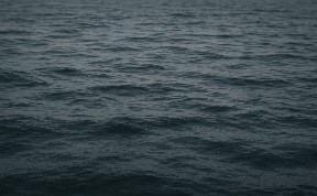 Общество