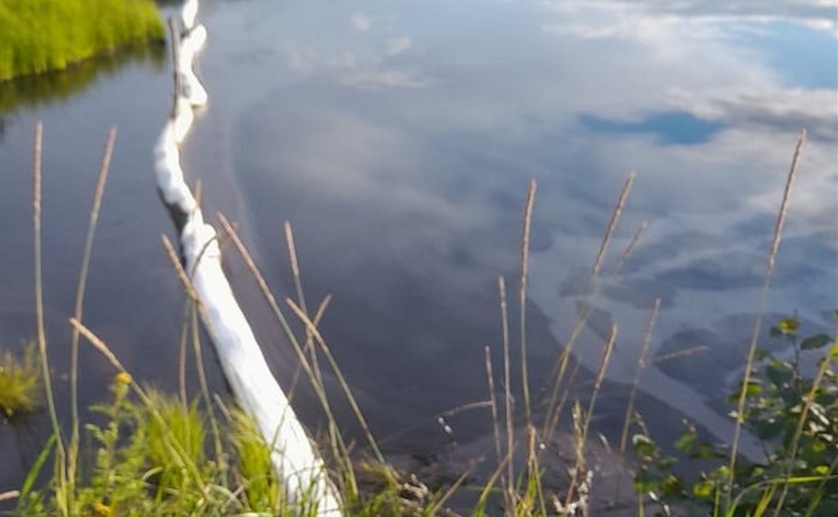 Пятна мазута в заливе на севере Сахалина привлекли внимание природоохранной прокуратуры