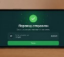 Россиян предупредили, почему нельзя платить курьеру переводом