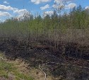 В Ногликском районе огонь охватил 600 "квадратов" сухой травы