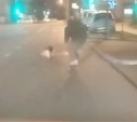 Весело, но опасно: собака прокатила скейтера по проезжей части в Южно-Сахалинске