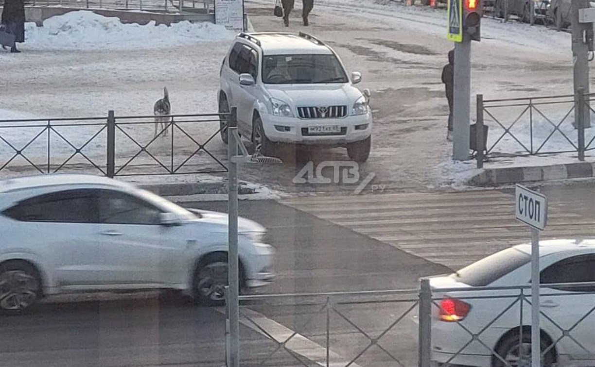 "Это просто дичь": автоледи на внедорожнике в Южно-Сахалинске трансформировалась в пешехода