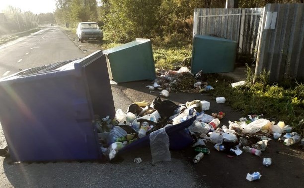 Медведь разбросал мусорные контейнеры по дороге на Сахалине