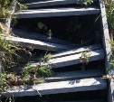 Сахалинцы преодолевают крутую лестницу "смерти", чтобы добраться до кладбища