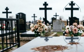 Происшествия