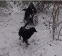 Женщина в инвалидной коляске погибла во время циклона в Южно-Сахалинске (ФОТО, ВИДЕО)