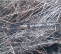 Боевой снаряд обнаружен в Курильском районе