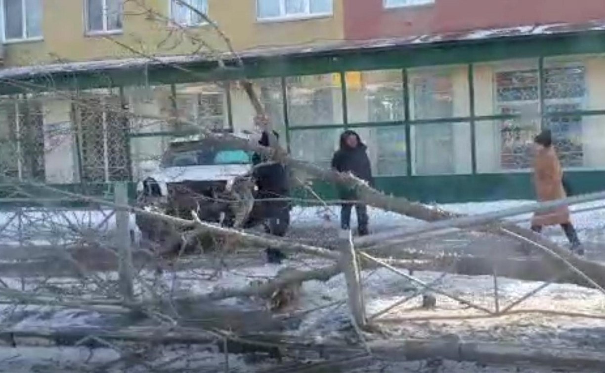 В Южно-Сахалинске внедорожник снёс дерево и ограждение