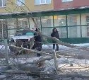 В Южно-Сахалинске внедорожник снёс дерево и ограждение