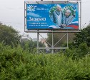 Южно-Сахалинск ко Дню семьи украсили портреты горожан
