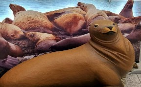 Общество