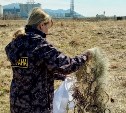 На Сахалине поймали 28 нарушителей правил рыбалки за неделю