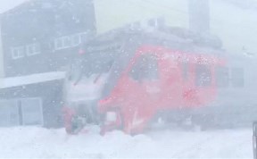 Общество