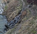 Мёртвую женщину нашли в реке в Южно-Сахалинске