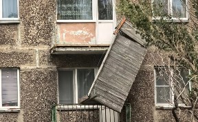 Общество