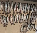 У браконьеров на Сахалине отобрали 185 орудий лова за неделю 