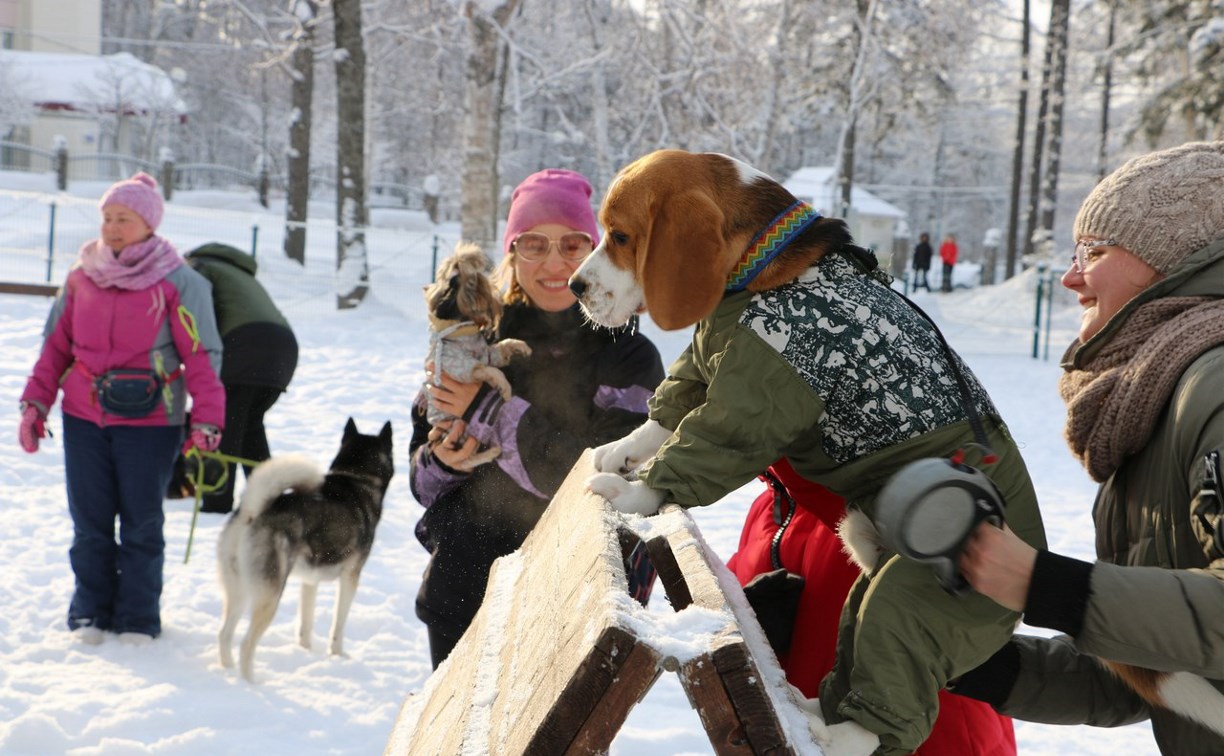 Горпарк Южно-Сахалинска закончил новогодние праздники костюмированным фестивалем