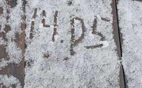 Общество
