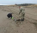 Более 3 тонн загрязненного песка собрали у села Пензенского на Сахалине