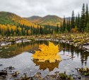 Резкое похолодание спрогнозировали на юге Сахалина