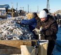 Регионы России перенимают опыт реализации сахалинского проекта "Доступная рыба"