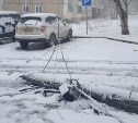 Дерево упало на автомобиль в Южно-Сахалинске