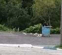 Медведь на сахалинской АЗС осмелел и залез в мусорный бак среди бела дня
