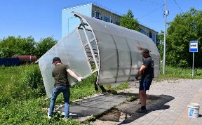 Общество