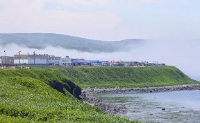 Общество