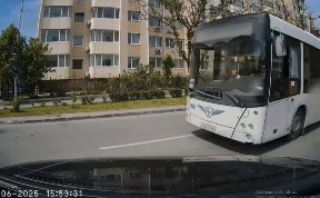 Общество