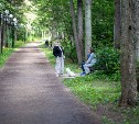 Ограничения на выгул собак и использование СИМ действуют в городском парке Южно-Сахалинска