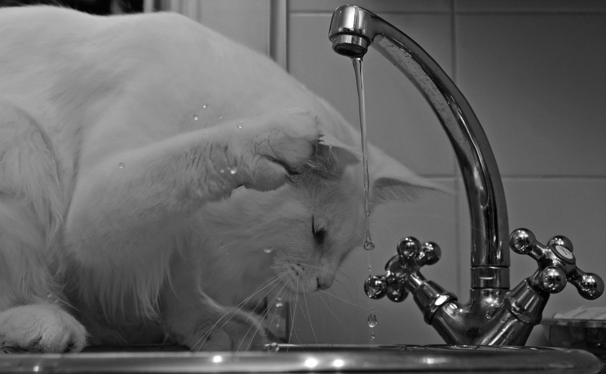 Часть Южно-Сахалинска во вторник оставят без холодной воды