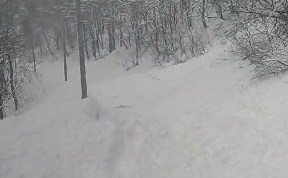 Происшествия